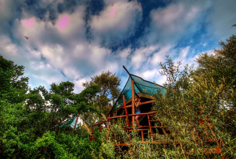 Teniqua Treetops Setting