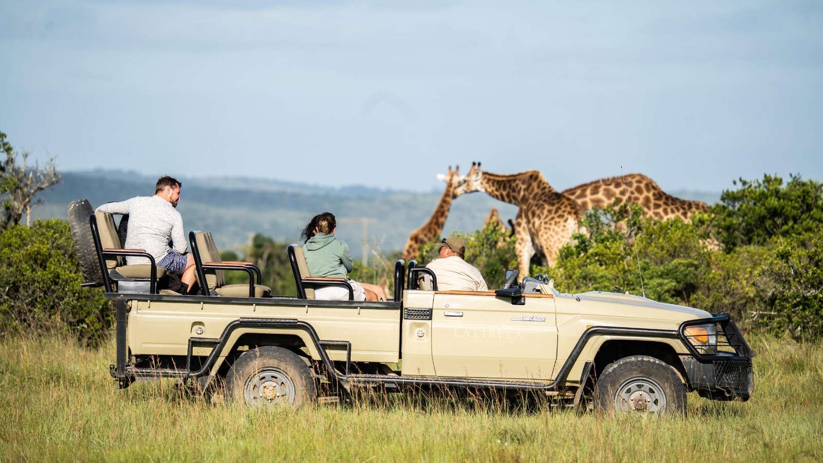 Lalibela Game Reserve Tree Tops Game Drive