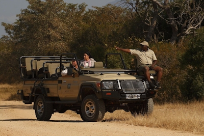 Moditlo River Lodge Guided Safari