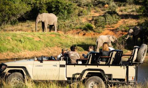 Lalibela Game Reserve Lentaba Lodge Game Drives