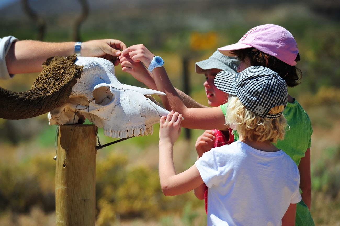 Gondwana Family Lodge at Sanbona Wildlife Reserve Kids