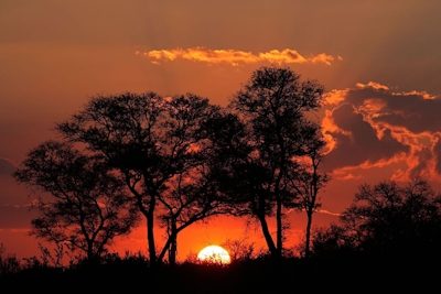 Simbavati Homestead Sunset