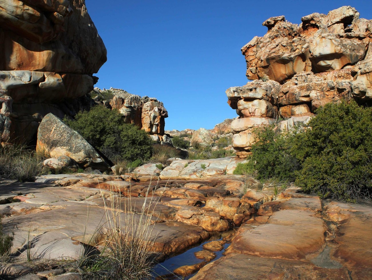 Kagga Kamma Nature Reserve Surrounds