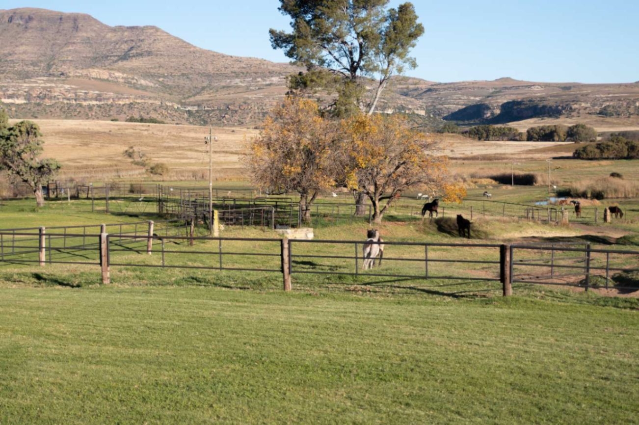 Moolmanshoek Private Game Reserve Farmlands