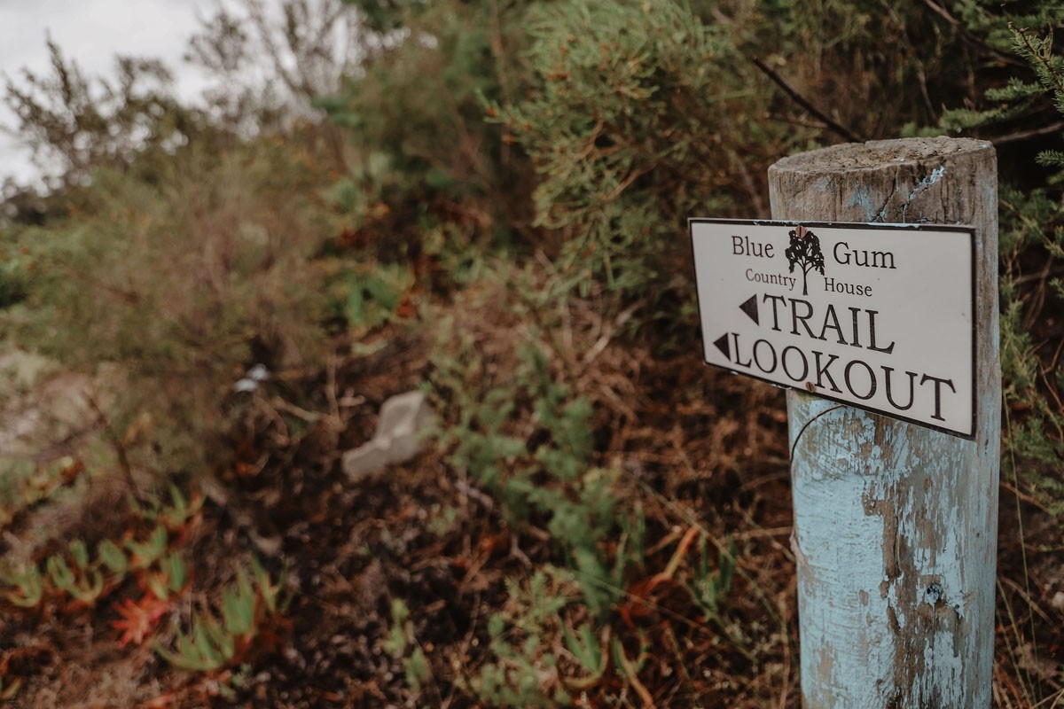 Hiking trails on the Blue Gum Country Estate 