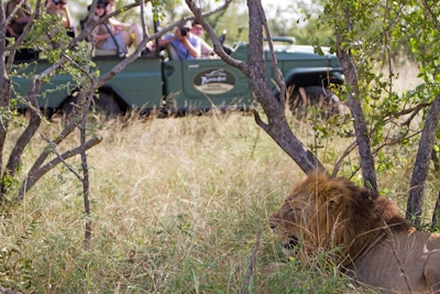 Bundox River Villa Lion