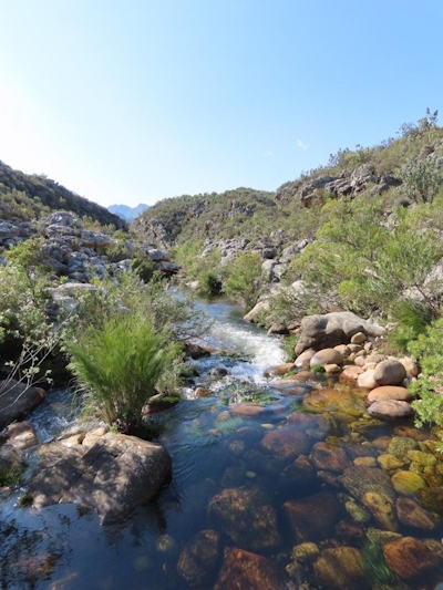 GlenDonald Trout Pod River