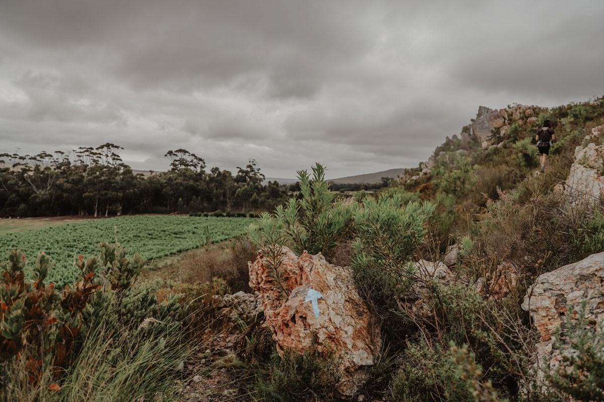 Well-marked hiking trails on Blue Gum Country Estate 