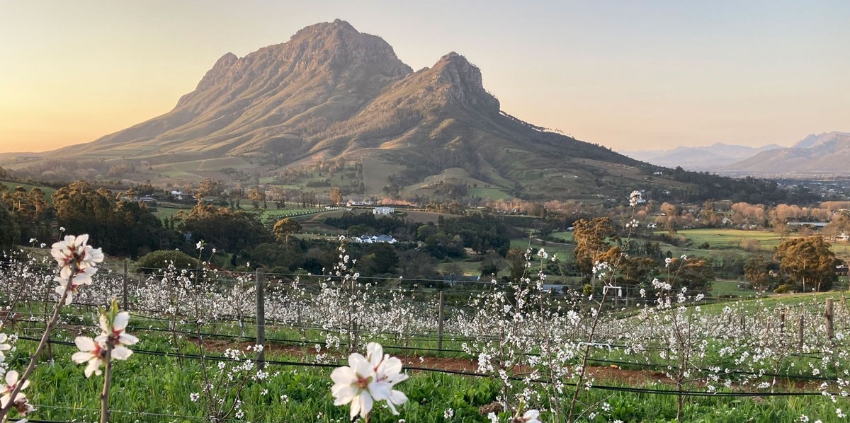 Camissa Farm Cape Winelands