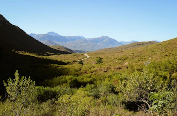 Leopard Valley Eco Retreat Surrounds