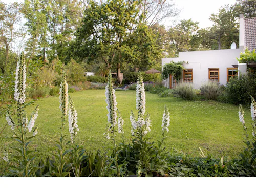 Featured Location