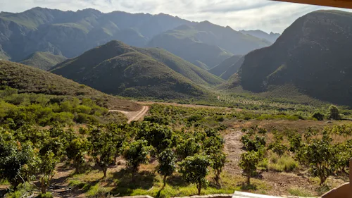 Featured Location