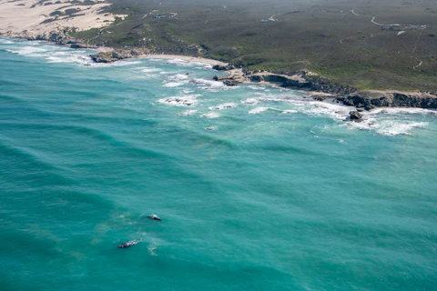 Morukuru Ocean House Whales