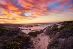 Morukuru Beach Lodge