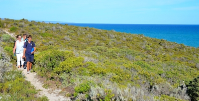 Morukuru Beach Lodge Fynbos Walks