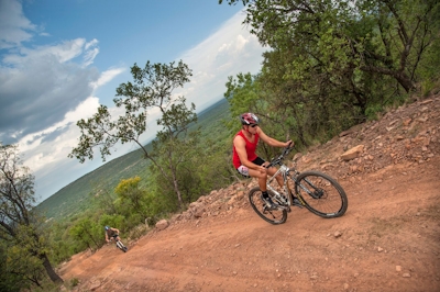 Ant's Nest Mountain Biking