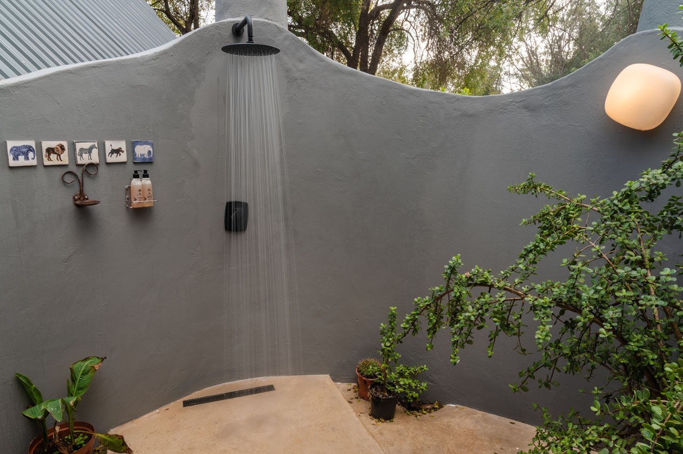 Jaci's Madikwe House Outdoor Shower