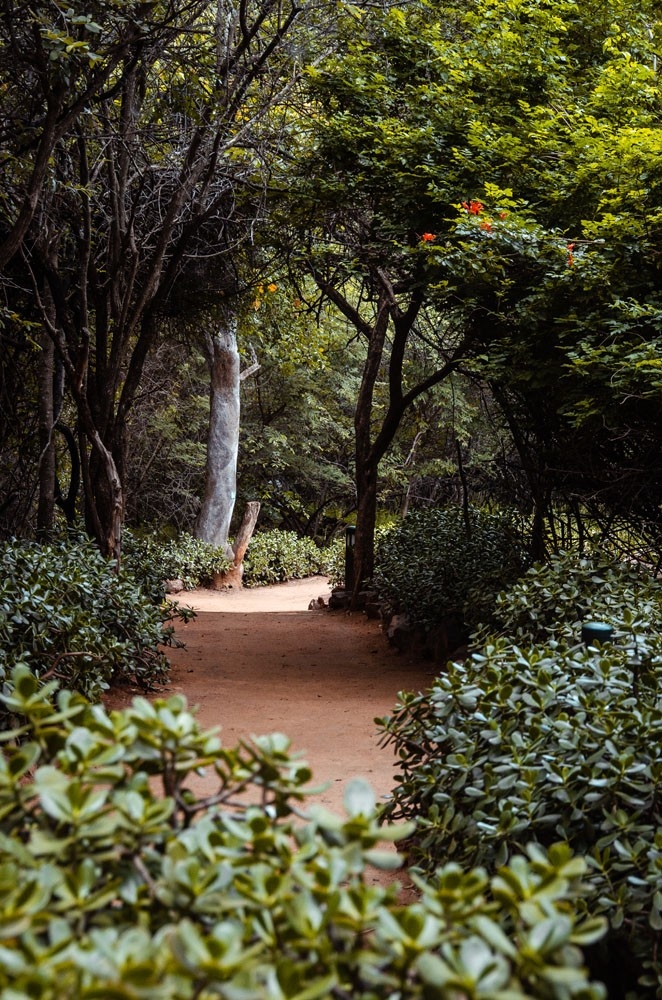 Jaci's Safari Lodge Pathways