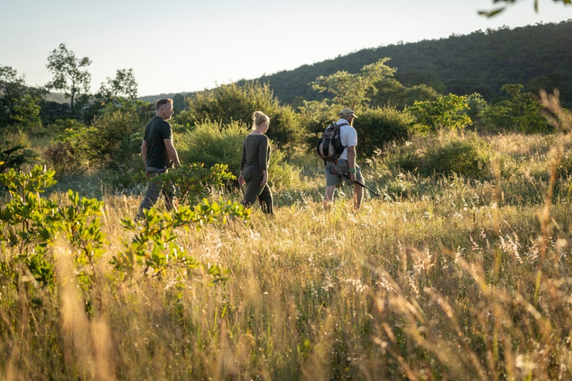 Tshwene Lodge Bush Walks