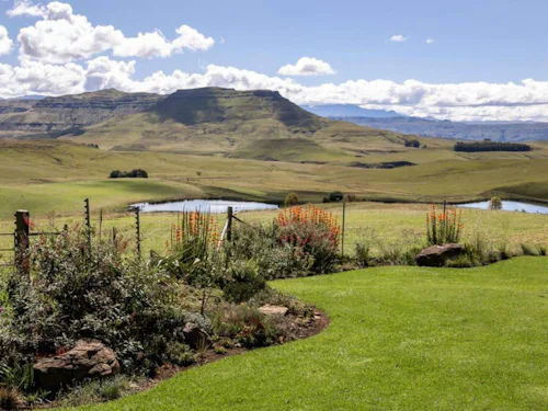 Featured Location