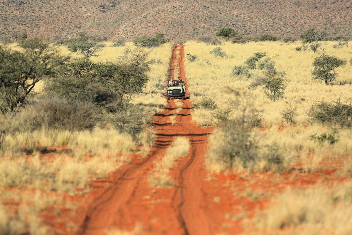 Tswalu Motse Camp Safari