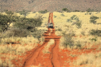 Tswalu Motse Camp Safari