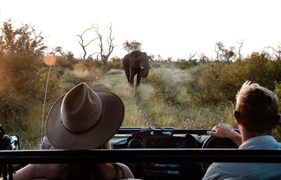 Jaci's Madikwe House Game Viewing