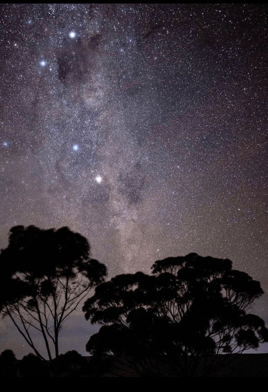 Melozhori Private Game Reserve Stargazing