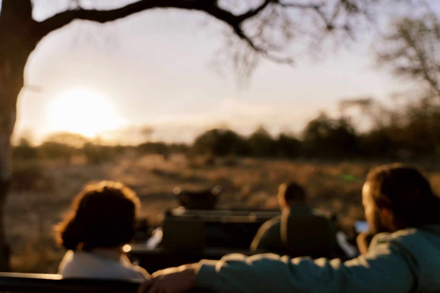 Simbavati Camp George Game Drives