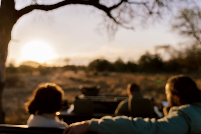 Simbavati Camp George Game Drives