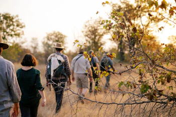 Simbavati Trails Camp Walking Safaris