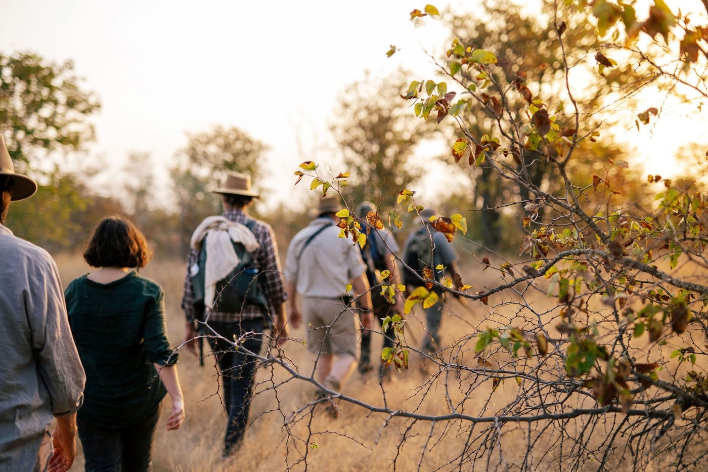 Simbavati Trails Camp Walking Safaris