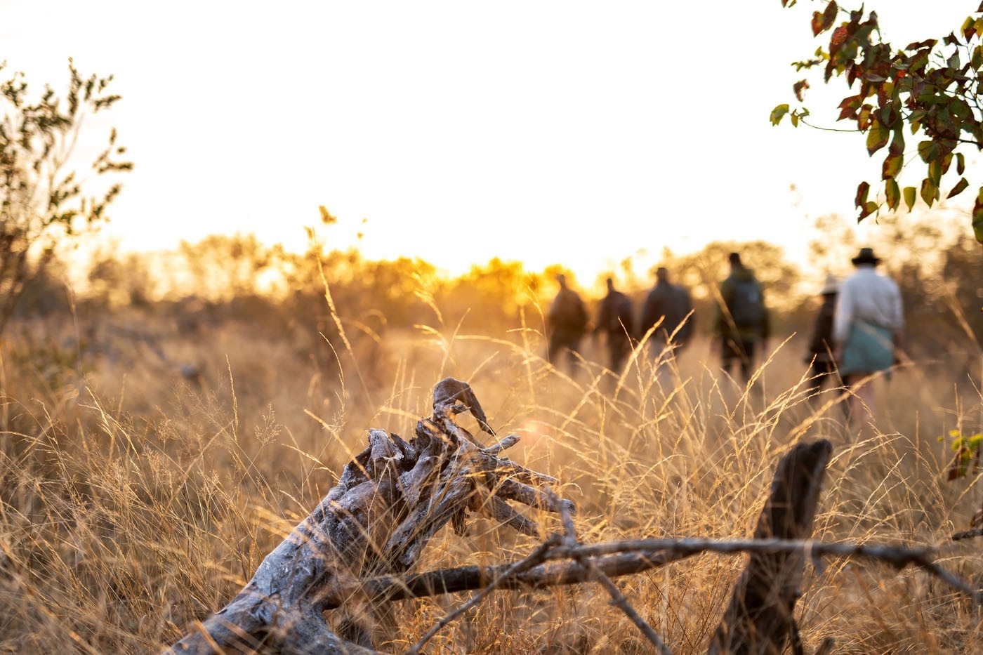 Simbavati Trails Camp Activities