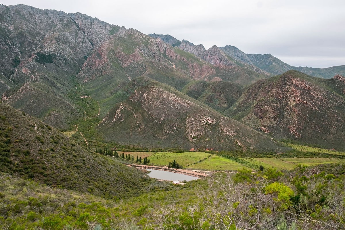 Tierhoek Organic Farm and Cottages Mountains