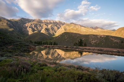 Tierhoek Organic Farm and Cottages Views