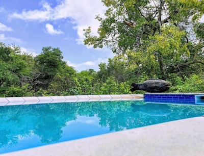 Kingfisher Creek Lodge Pool