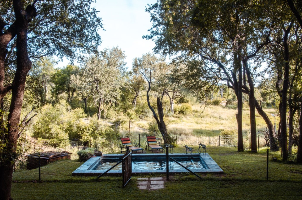 Jaci's Madikwe House Swimming Pool