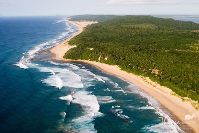 Thonga Beach Lodge Setting