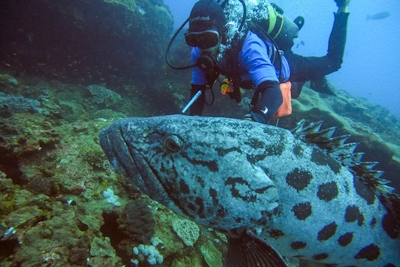 Thonga Beach Lodge Scuba Diving