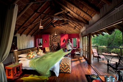 Jaci's Tree Lodge Suite Interior