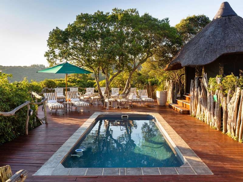 Lalibela Game Reserve Tree Tops Pool Deck