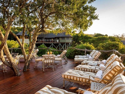 Lalibela Game Reserve Tree Tops Deck 