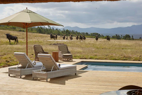 Gondwana Game Reserve Villas Swimming Pool 