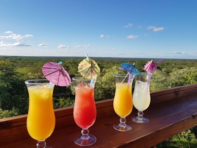 Thornhill Safari Lodge Cocktails