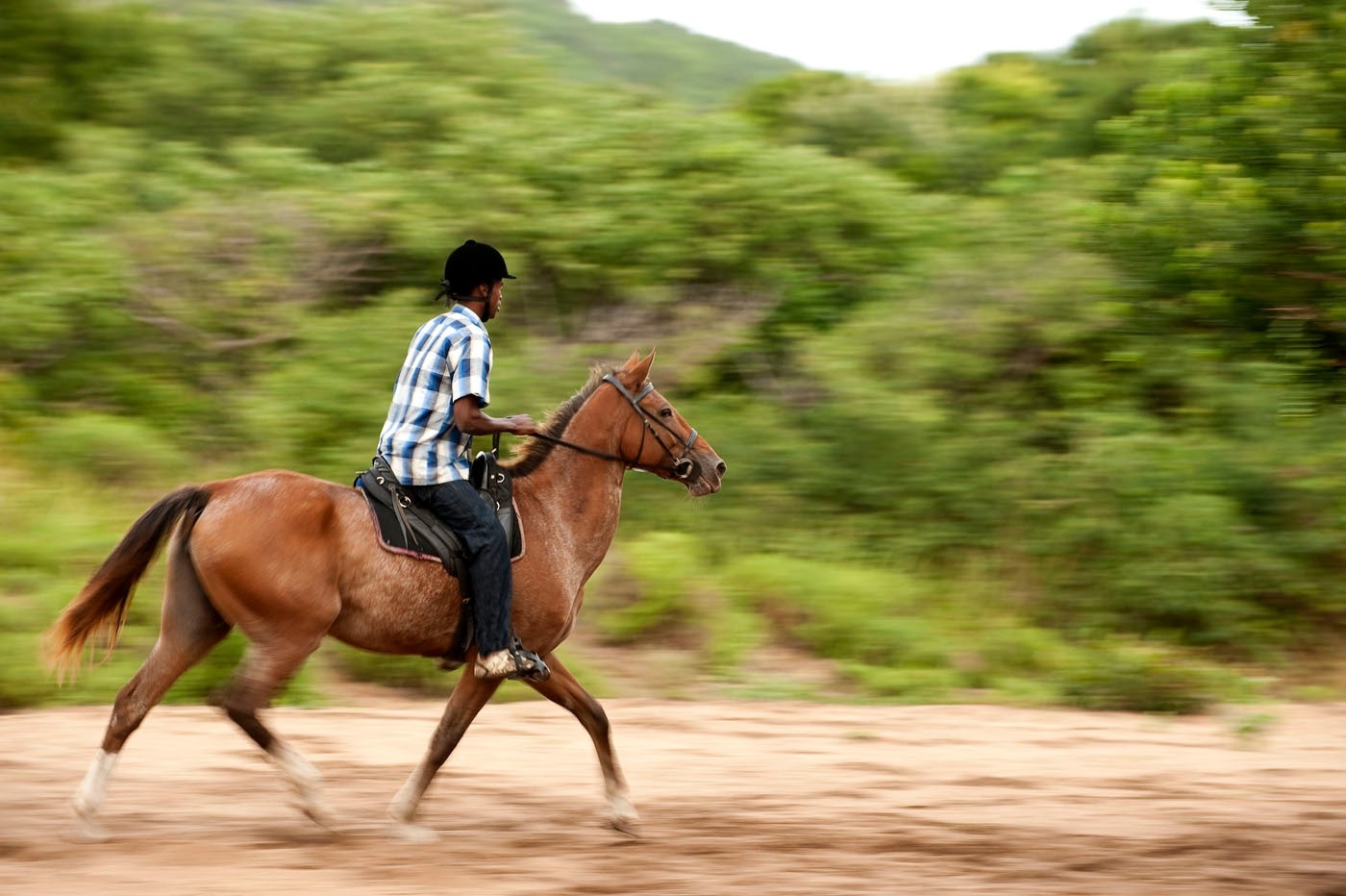 White Pearl Resorts Horse Riding