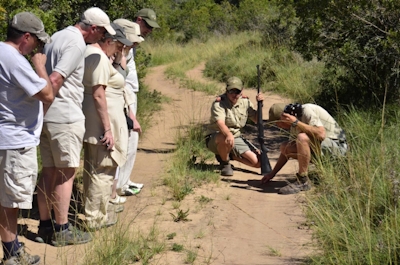 Lalibela Game Reserve Mills Manor Tracking