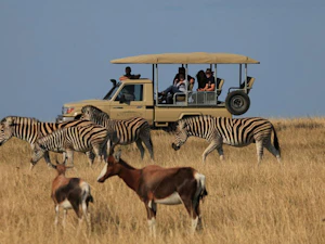 Botlierskop Tented Lodge