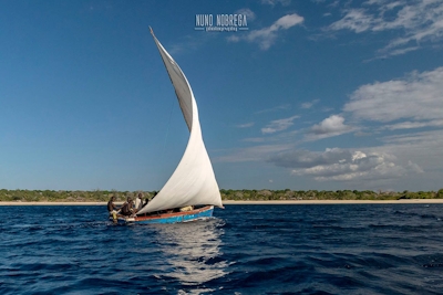 Nuarro Lodge Sailing