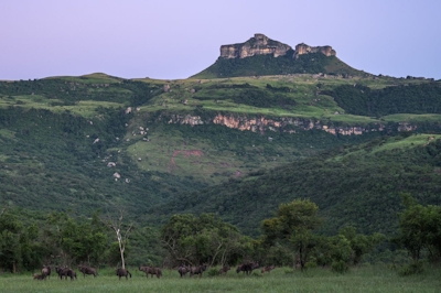 Sasi Bush Lodge Surrounds