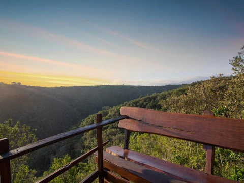 Teniqua Treetops Deck View